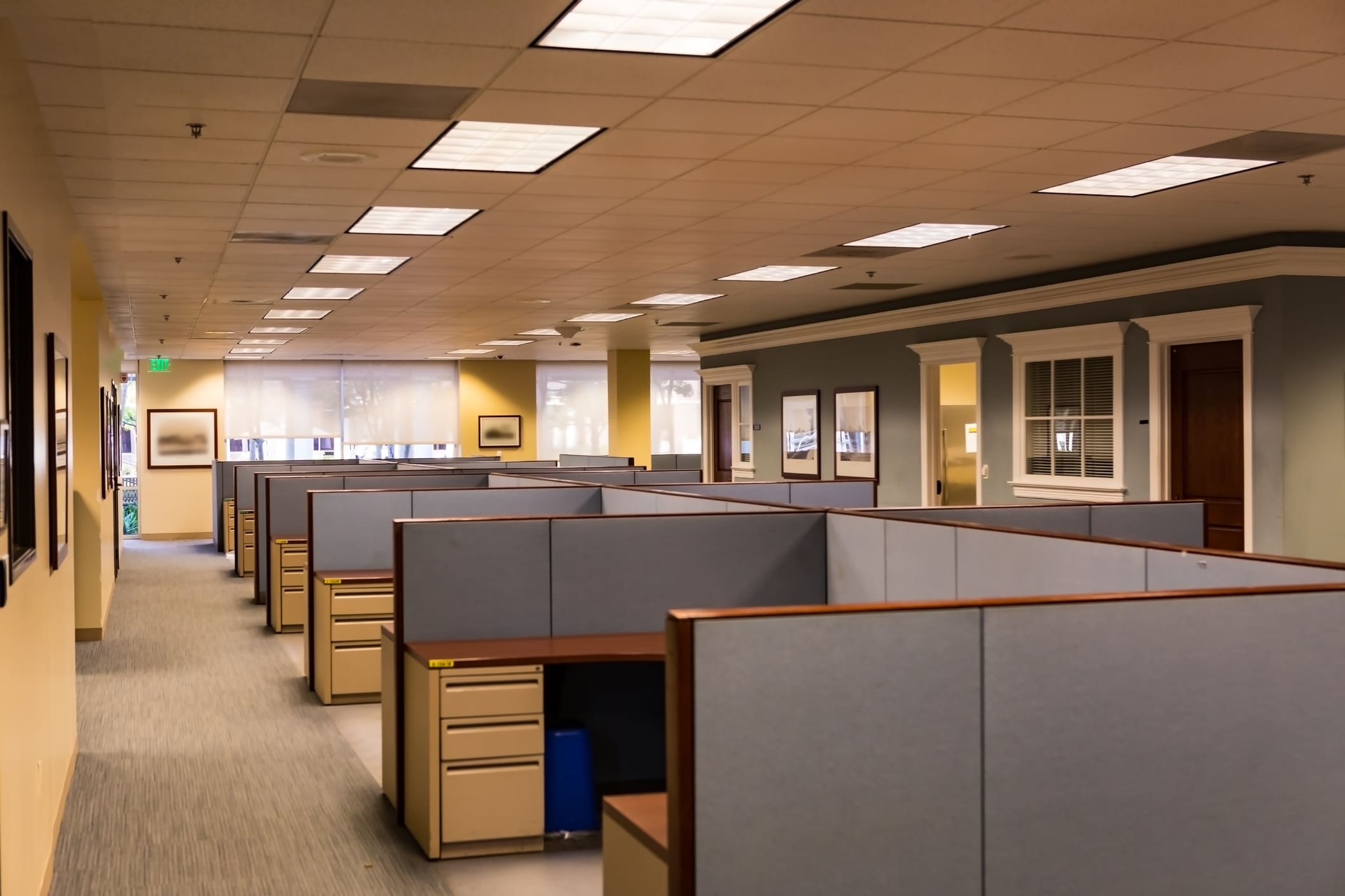 Loneliness in the American Workplace