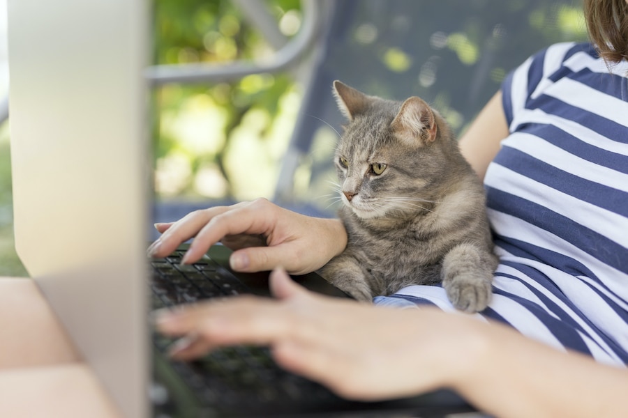 woman on laptop working from home with cat