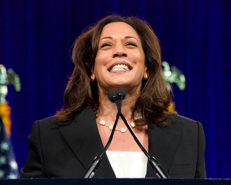 Kamala Harris at DNC looking ecstatic